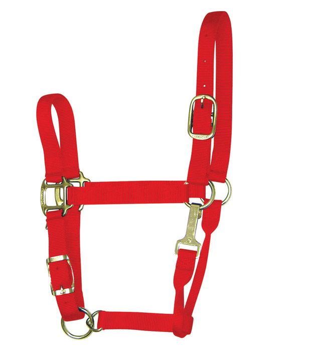 buy horse tack at cheap rate in bulk. wholesale & retail farm livestock supplies store.