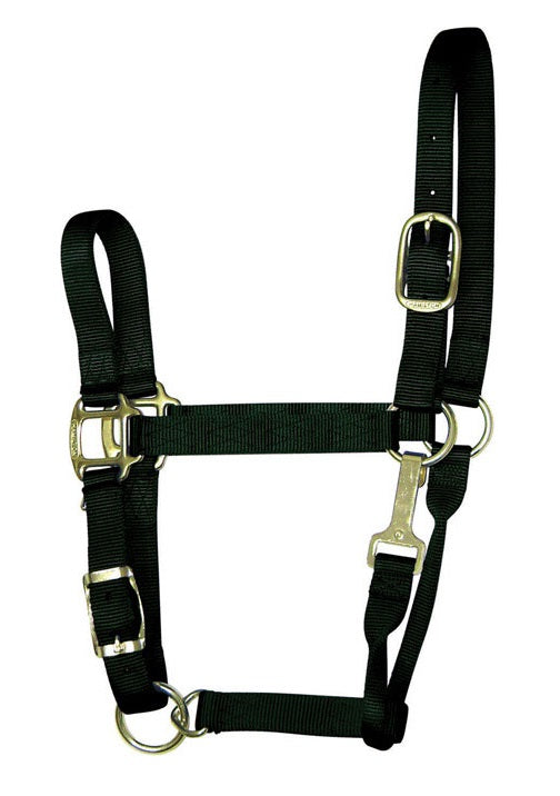 buy horse tack at cheap rate in bulk. wholesale & retail farm maintenance goods store.