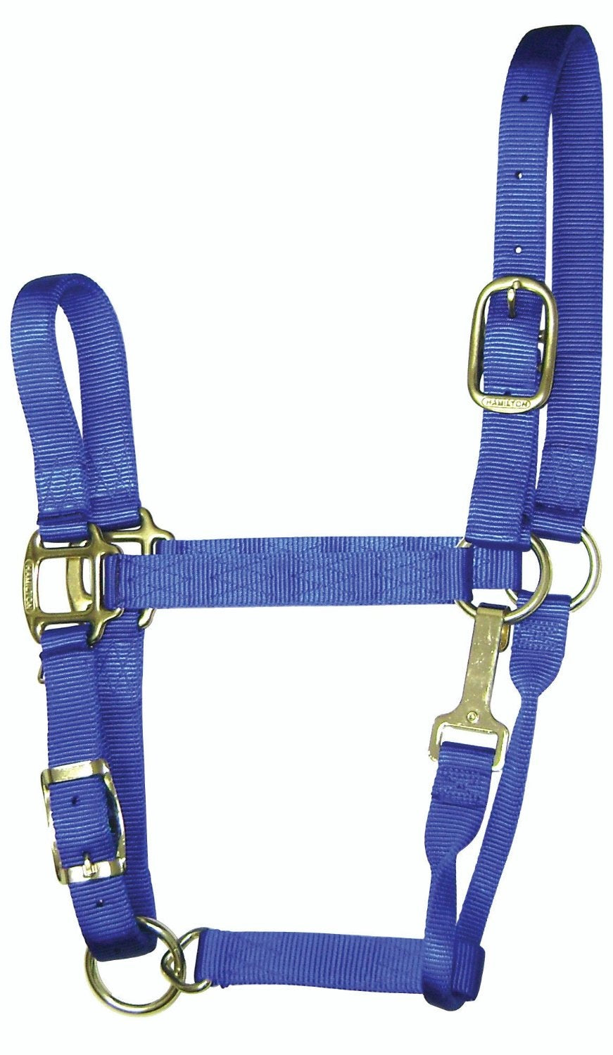 buy horse tack at cheap rate in bulk. wholesale & retail farm maintenance supply store.