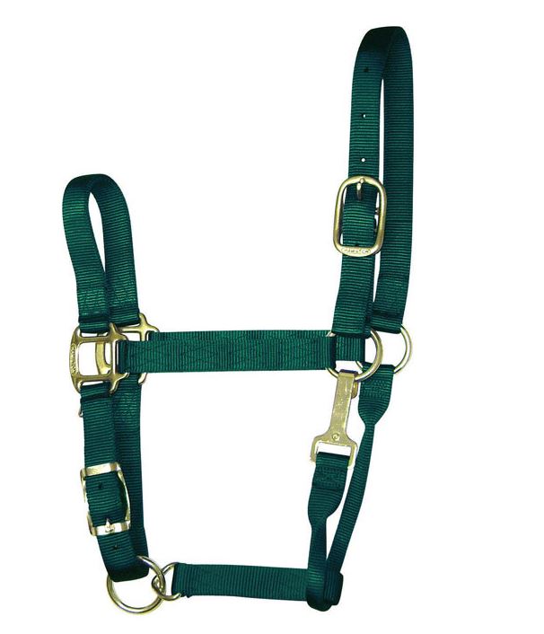 buy horse tack at cheap rate in bulk. wholesale & retail farm maintenance supply store.