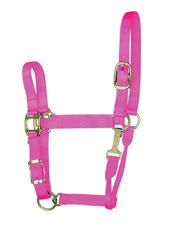 buy horse tack at cheap rate in bulk. wholesale & retail farm management items store.