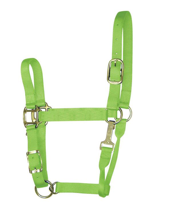 buy horse tack at cheap rate in bulk. wholesale & retail farm livestock tools & supply store.