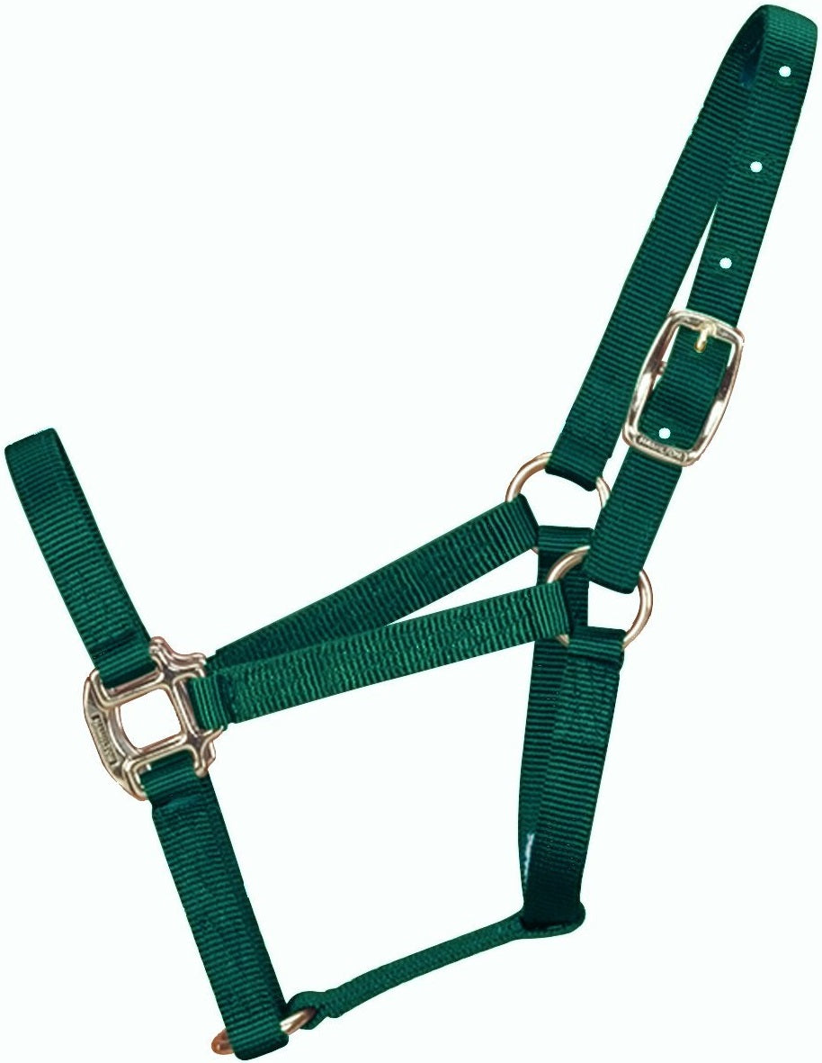buy horse tack at cheap rate in bulk. wholesale & retail farm management goods & supplies store.