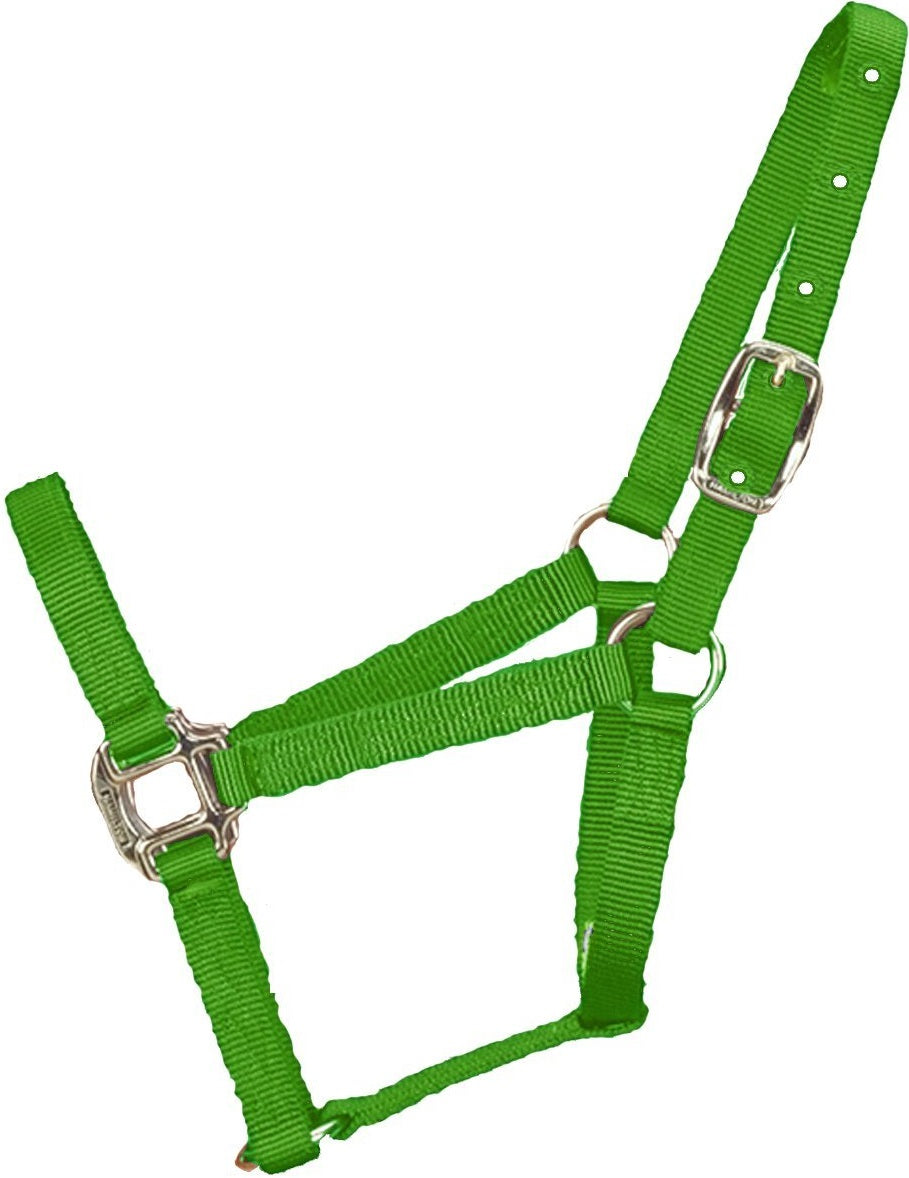 buy horse tack at cheap rate in bulk. wholesale & retail farm maintenance tool & kits store.