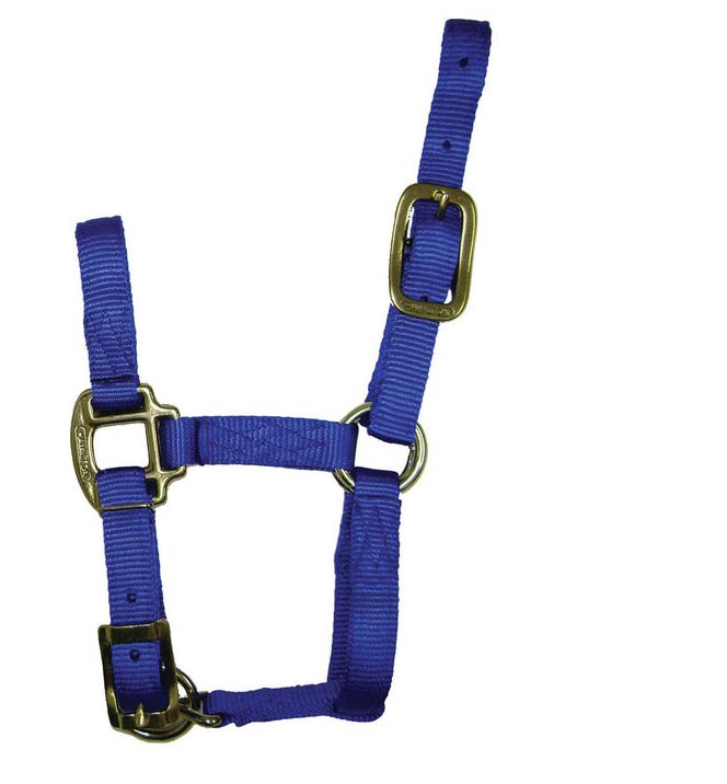 buy horse tack at cheap rate in bulk. wholesale & retail farm essentials & goods store.