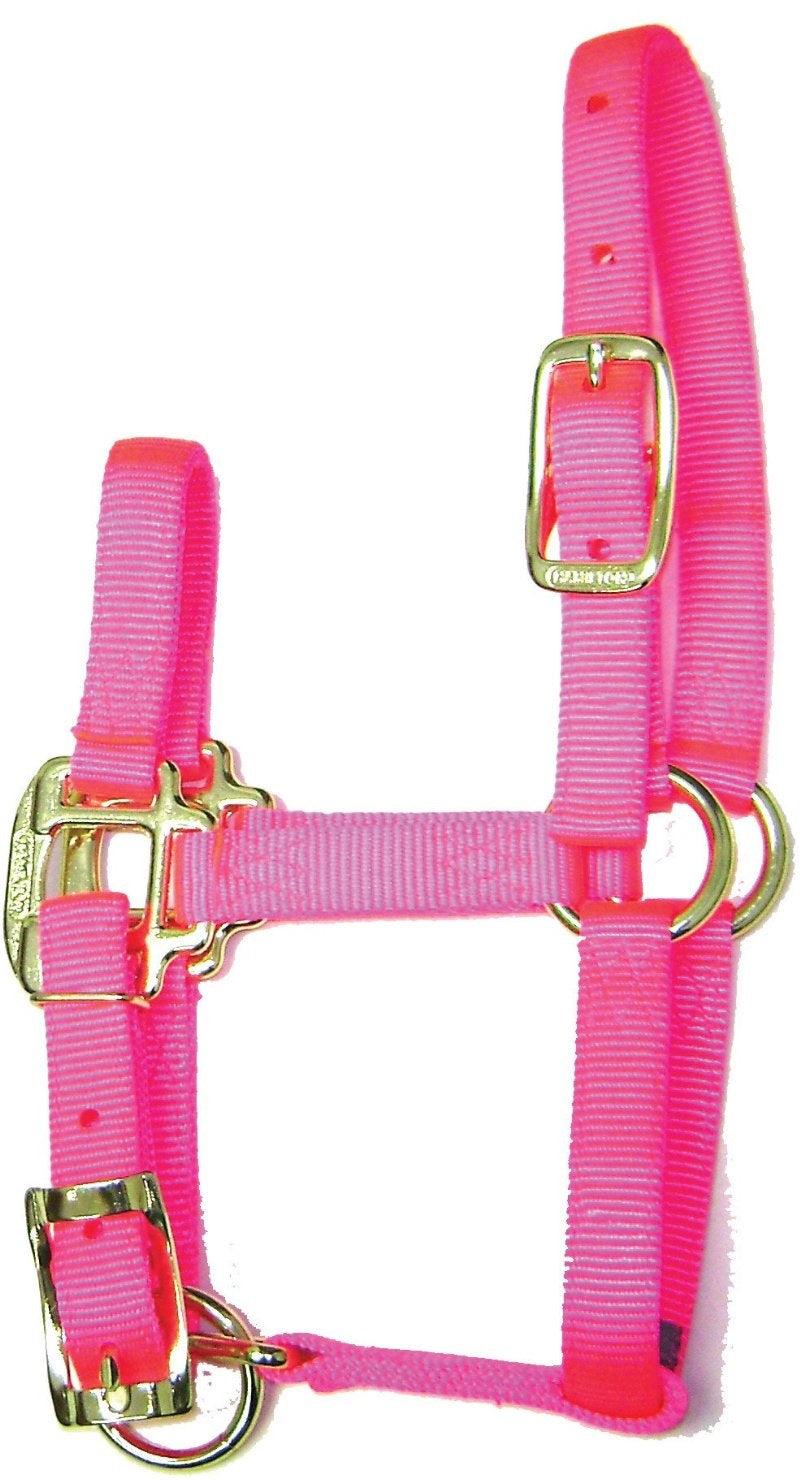 buy horse tack at cheap rate in bulk. wholesale & retail farm maintenance tool & kits store.