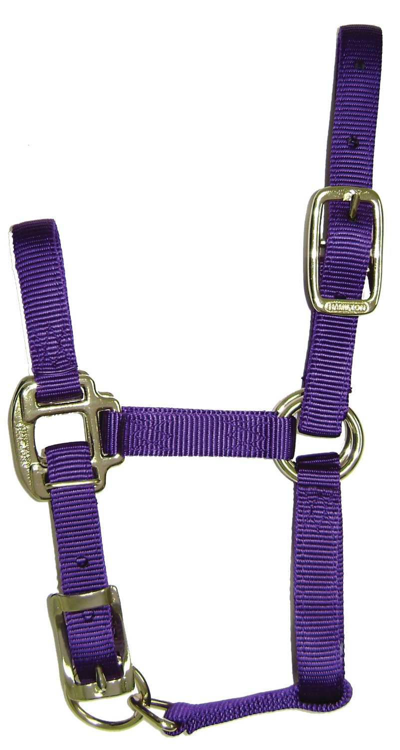 buy horse tack at cheap rate in bulk. wholesale & retail farm maintenance supplies store.