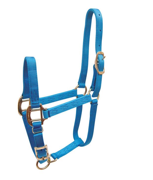 buy horse tack at cheap rate in bulk. wholesale & retail farm essentials & goods store.