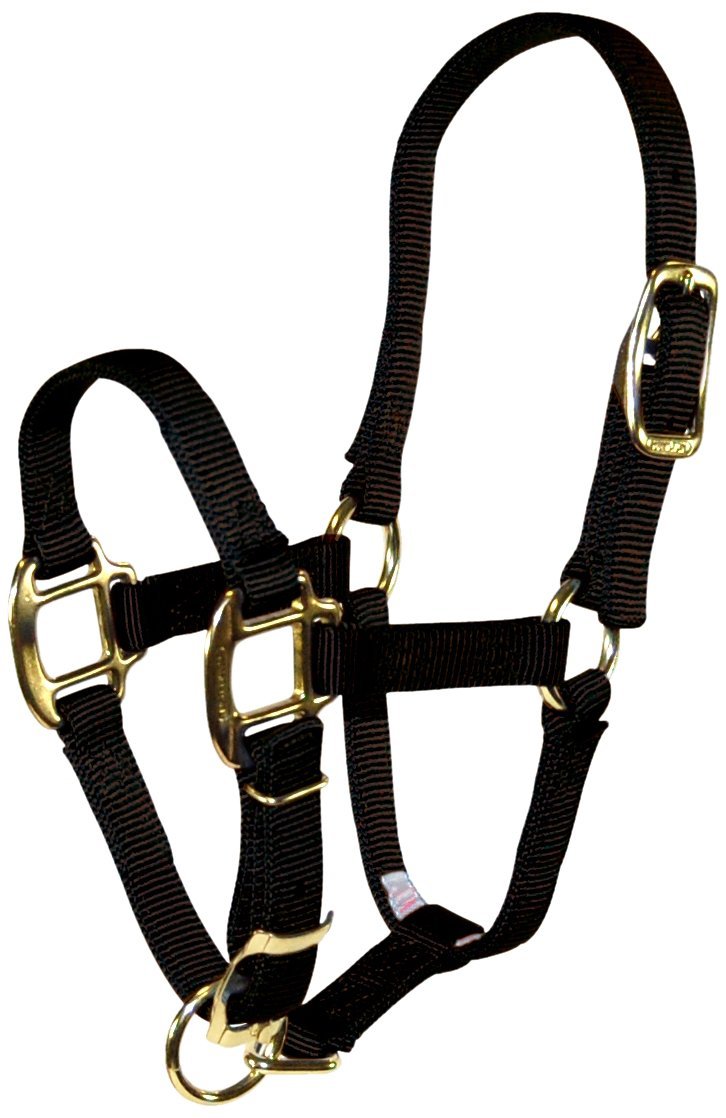 buy horse tack at cheap rate in bulk. wholesale & retail farm essentials & goods store.