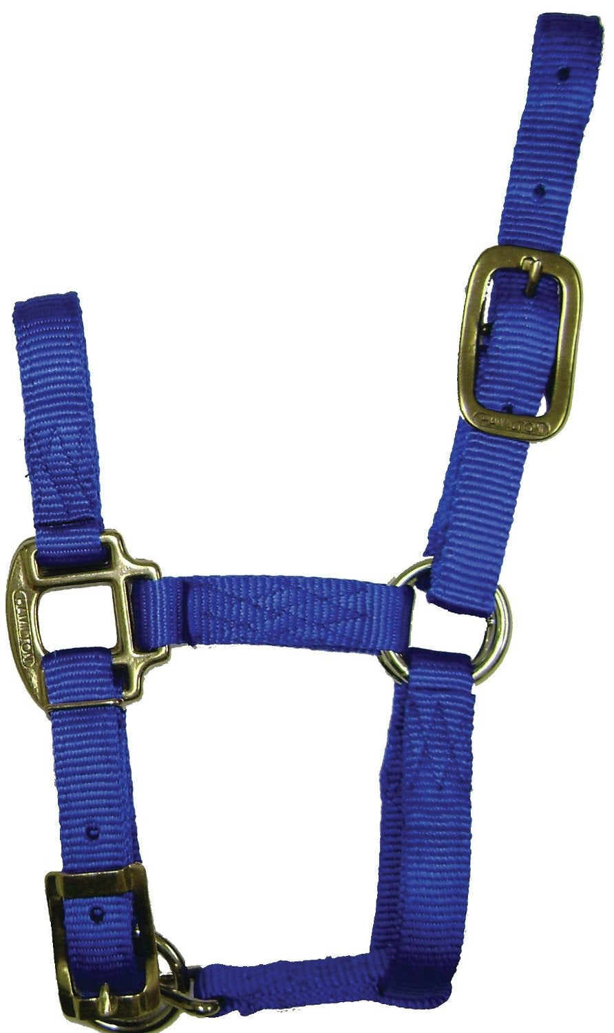 buy horse tack at cheap rate in bulk. wholesale & retail farm maintenance goods store.