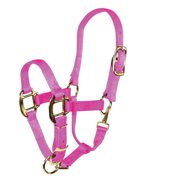 buy horse tack at cheap rate in bulk. wholesale & retail farm livestock equipments & tools store.