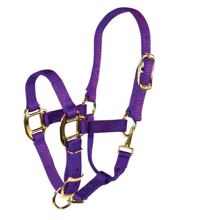 buy horse tack at cheap rate in bulk. wholesale & retail farm livestock equipments & tools store.