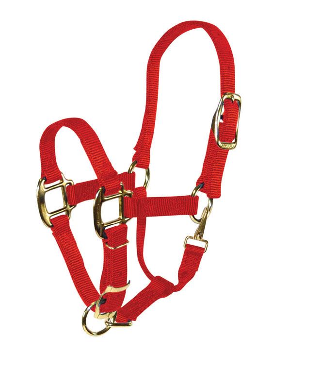 buy horse tack at cheap rate in bulk. wholesale & retail farm livestock supplies store.