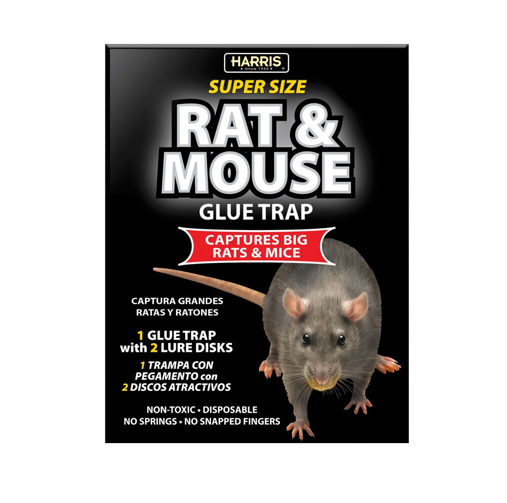 Harris BLKRAT-1 Super Size Rat & Mouse Glue Trap, 8.5"