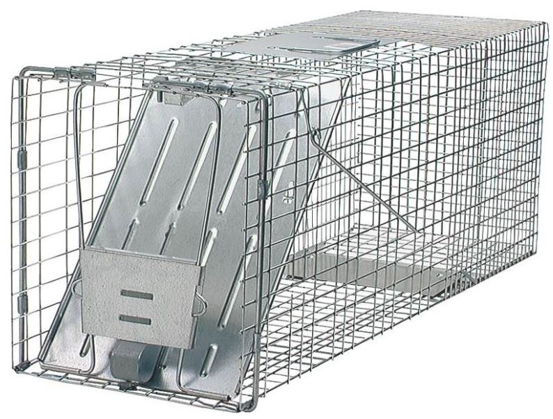 Havahart 1079 Animal Cage Traps