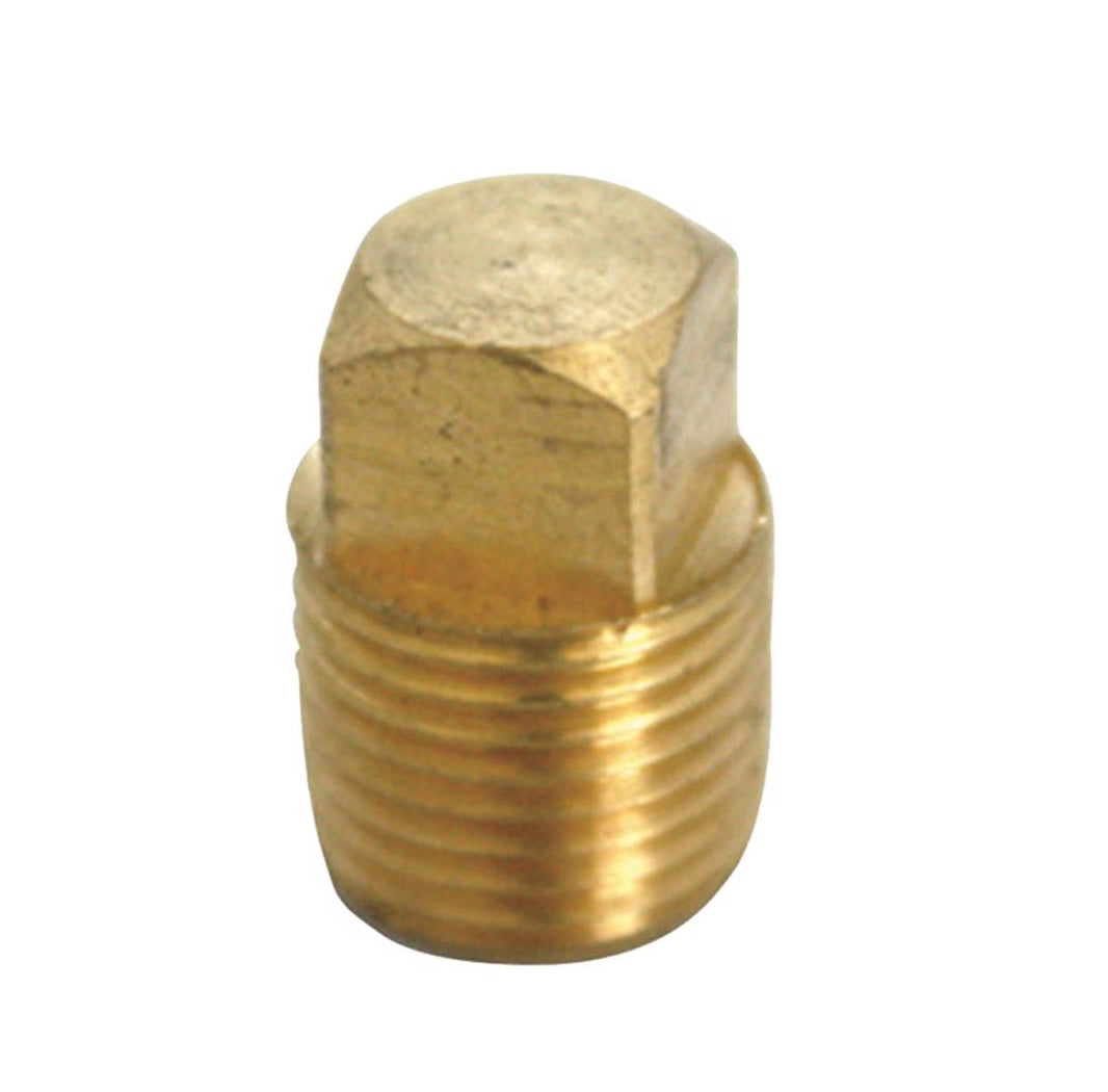 Homeplus+ 6JC120810701014 MPT Square Head Cored Plug, Brass