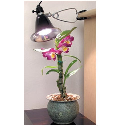 buy growing lights at cheap rate in bulk. wholesale & retail lawn & plant care fertilizers store.