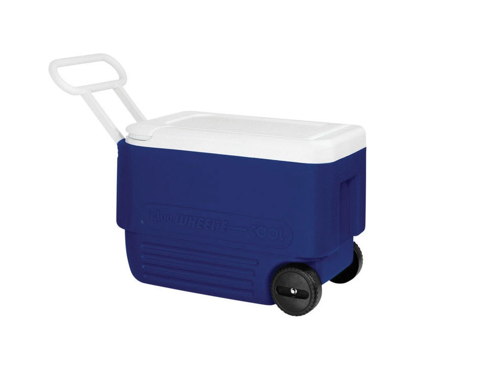 buy ice chests at cheap rate in bulk. wholesale & retail backyard living items store.
