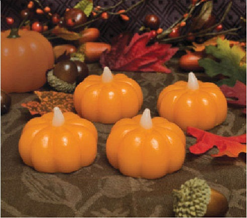 buy pumpkin , carving tool & halloween at cheap rate in bulk. wholesale & retail holiday gift items store.