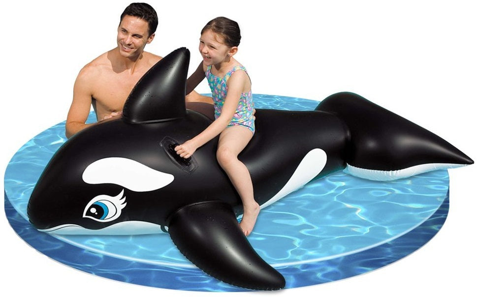 buy pool toys & floats at cheap rate in bulk. wholesale & retail outdoor living tools store.