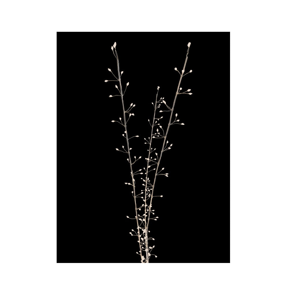 Celebrations MICBWTWIG38WWA Accessory Lighted Branches, 38", Warm White