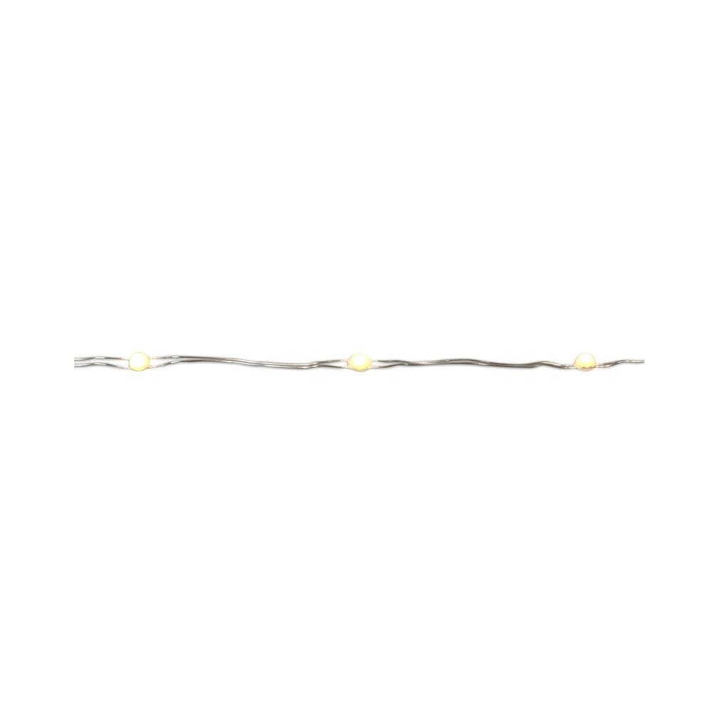 Celebrations MICB-SLV100WW2A LED Micro Dot/Fairy Christmas Lights, 16.5'