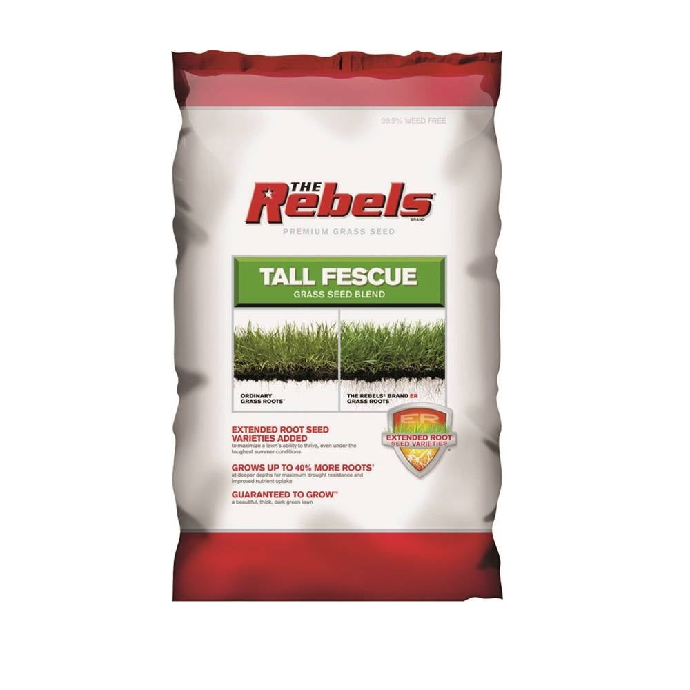 Pennington 100543729 Rebel Tall Fescue Grass Seed, 7 Lbs