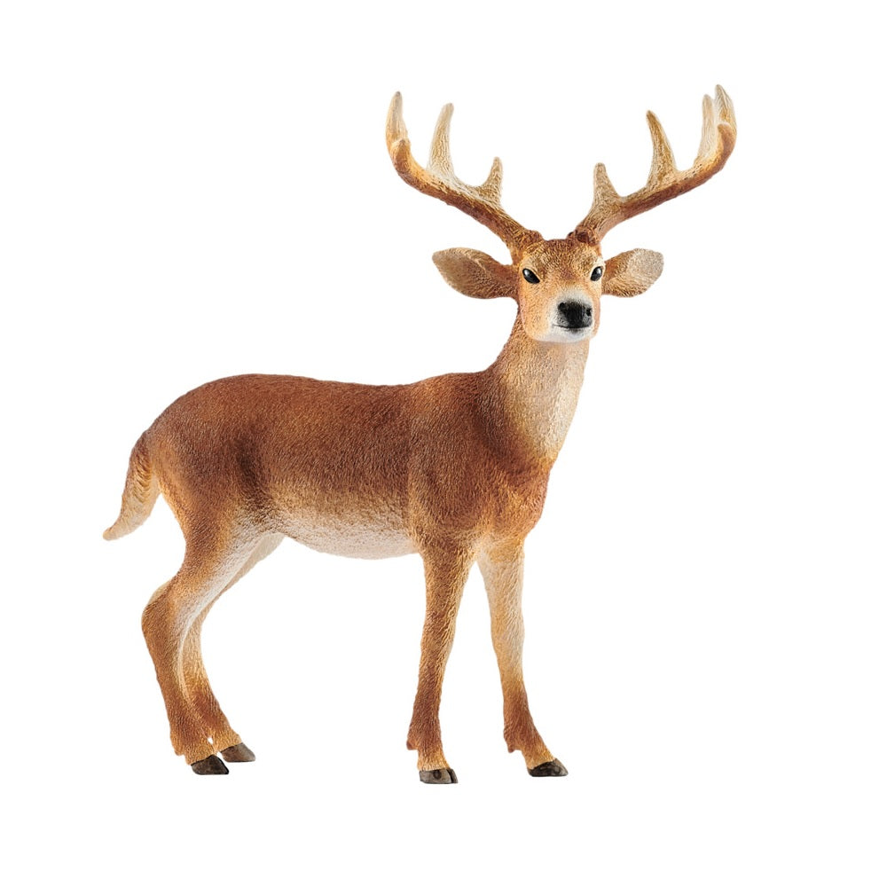 Schleich 14818 Figurine Tailed Buck, White