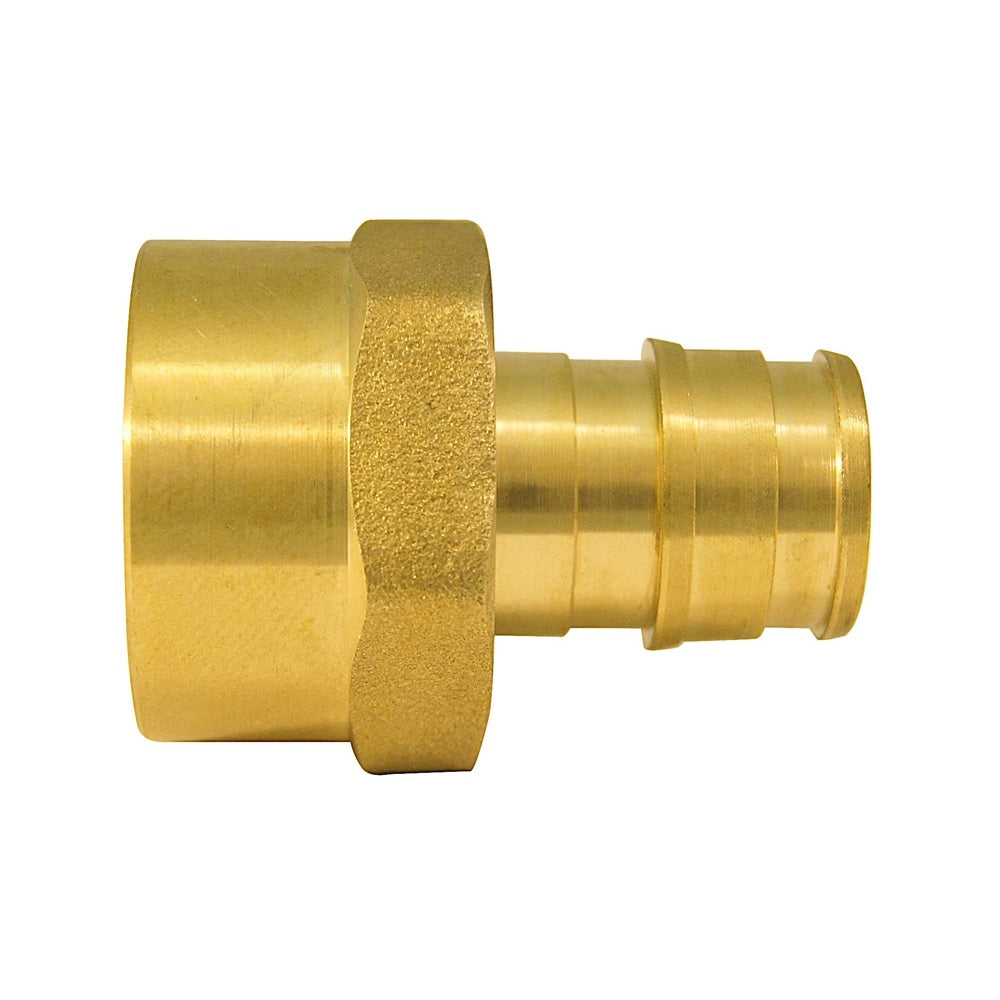 Apollo EPXFA1212 Pipe Adapter, 1/2", Brass