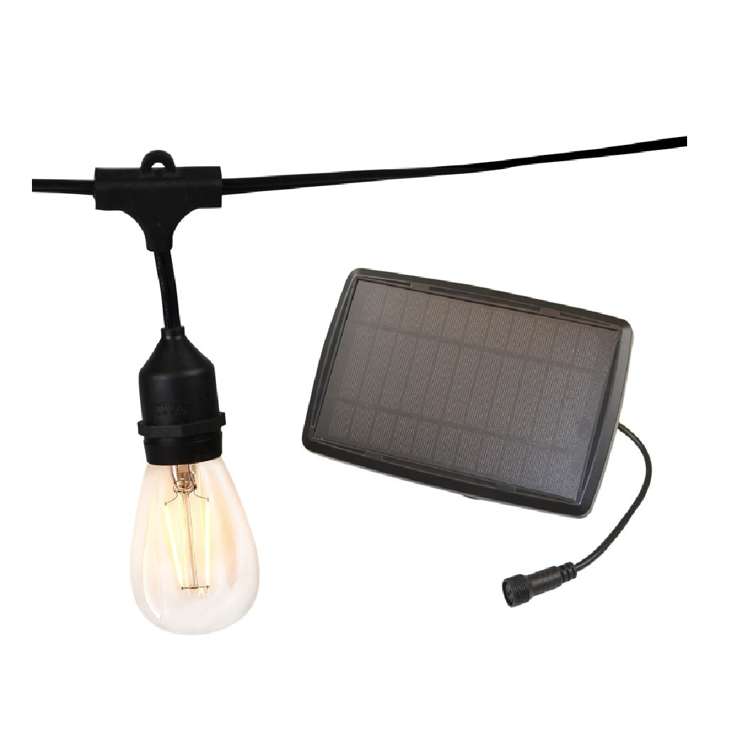 Living Accents SLRVIN10DWWA LED Vintage Light Set