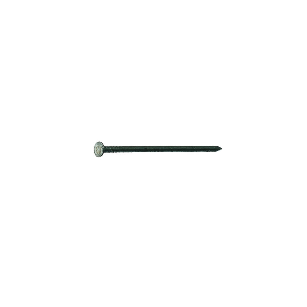 Grip-Rite 10BX1 Bright Round Head Nail, Steel