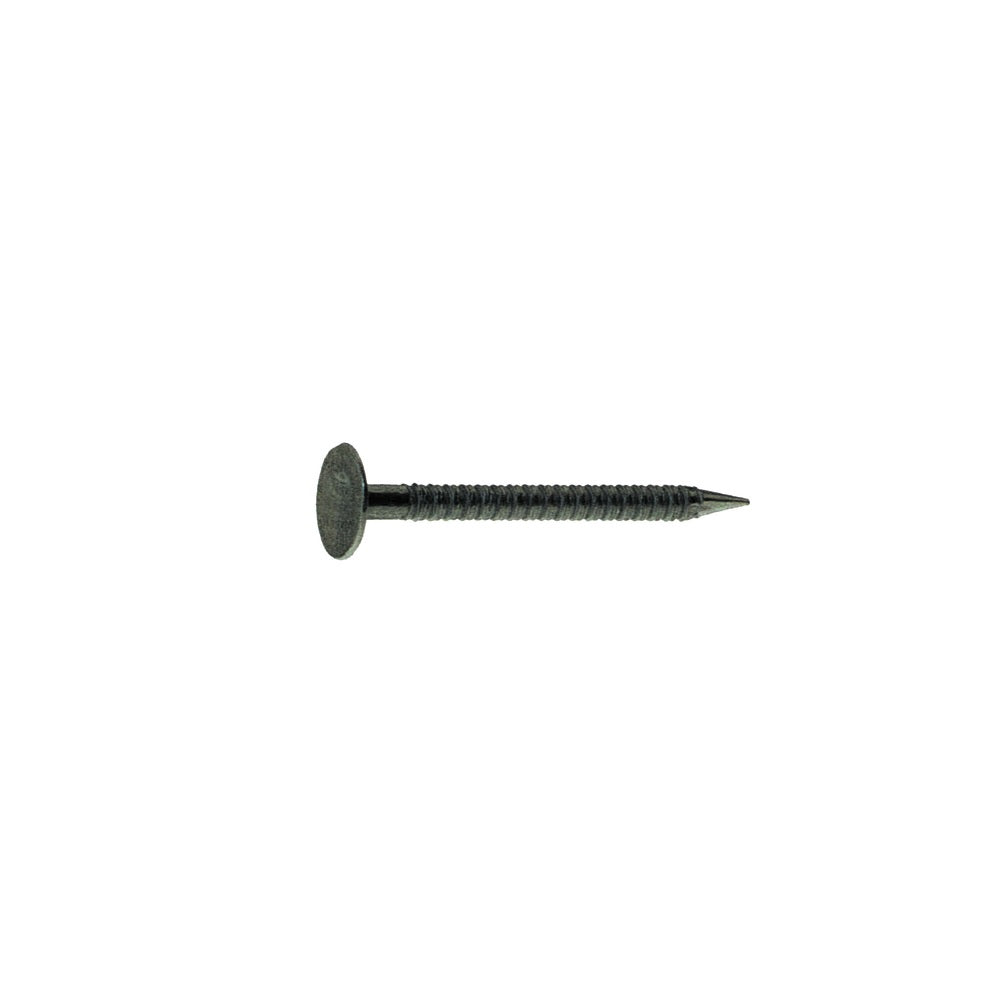 Grip-Rite 138ATDW1 Flat Head Bright Drywall Nail, Steel, 1 lb