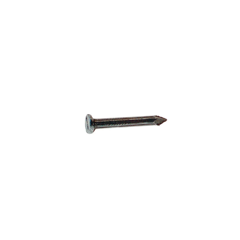 Grip-Rite 134TFMAS1 T-Head Head Bright Masonry Nail, Steel, 1 lb