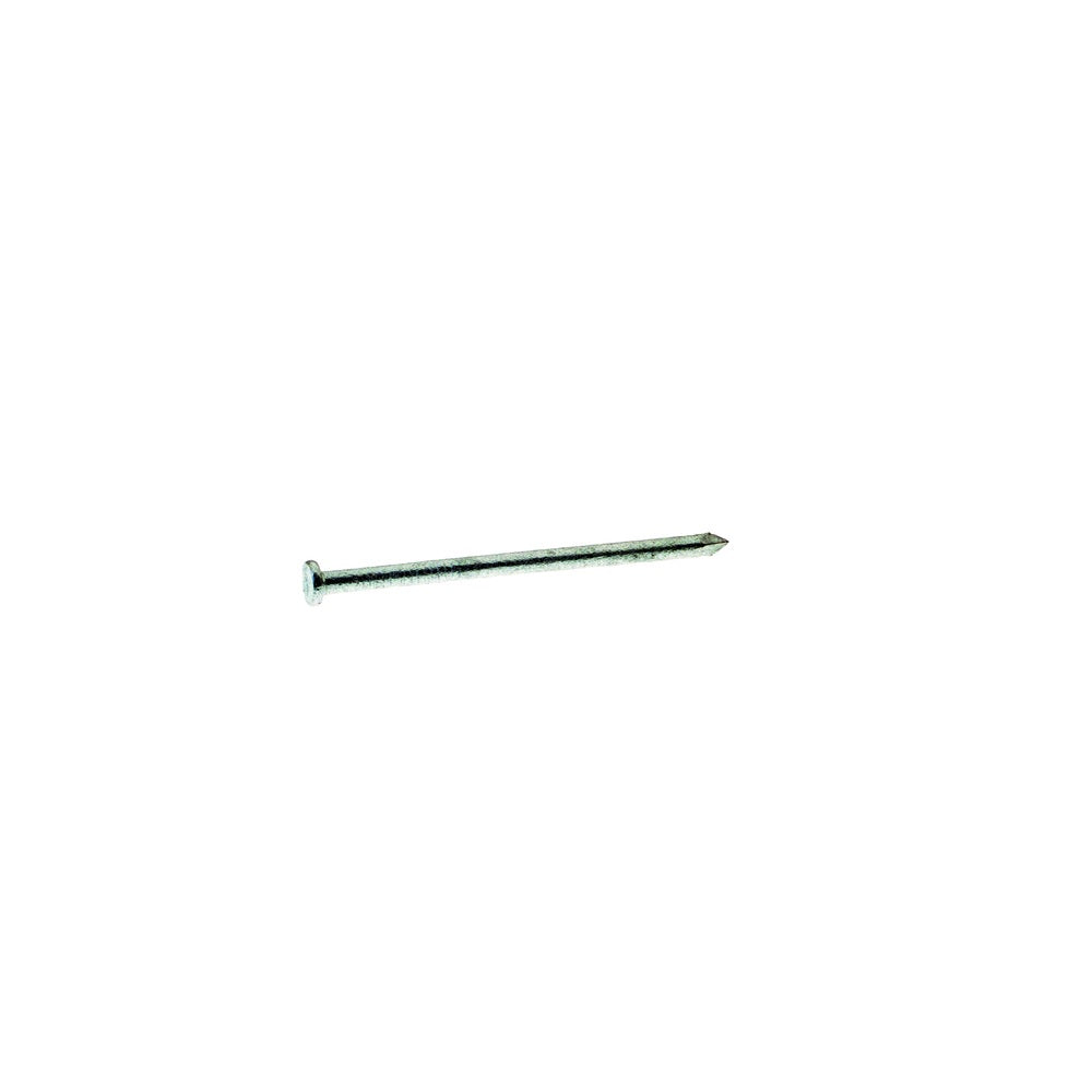 Grip-Rite 20HGC1 Hot-Dipped Galvanized Common Nail, Steel, 1 lb