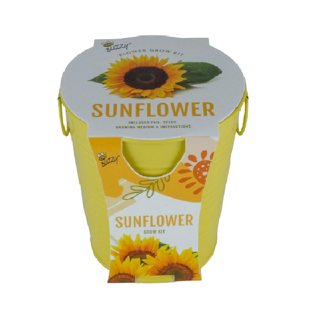 Buzzy 95714 Sunflower Grow Kit