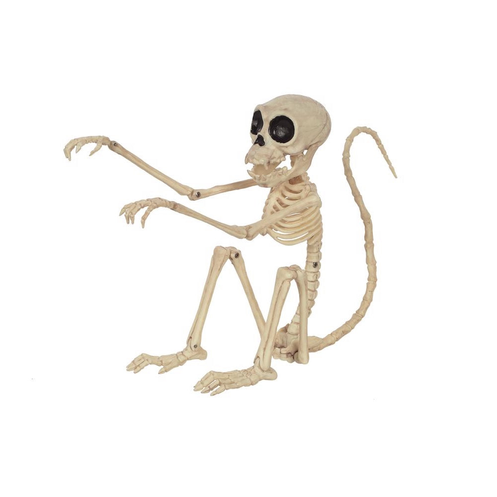 Celebrations W82922 Halloween Monkey Skeleton, 7.25 Inch