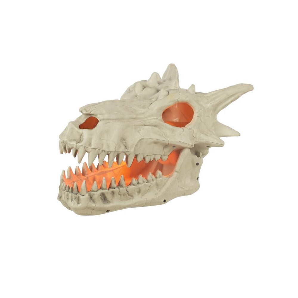 Celebrations W81809 Halloween Dragon Skull, 11 inch