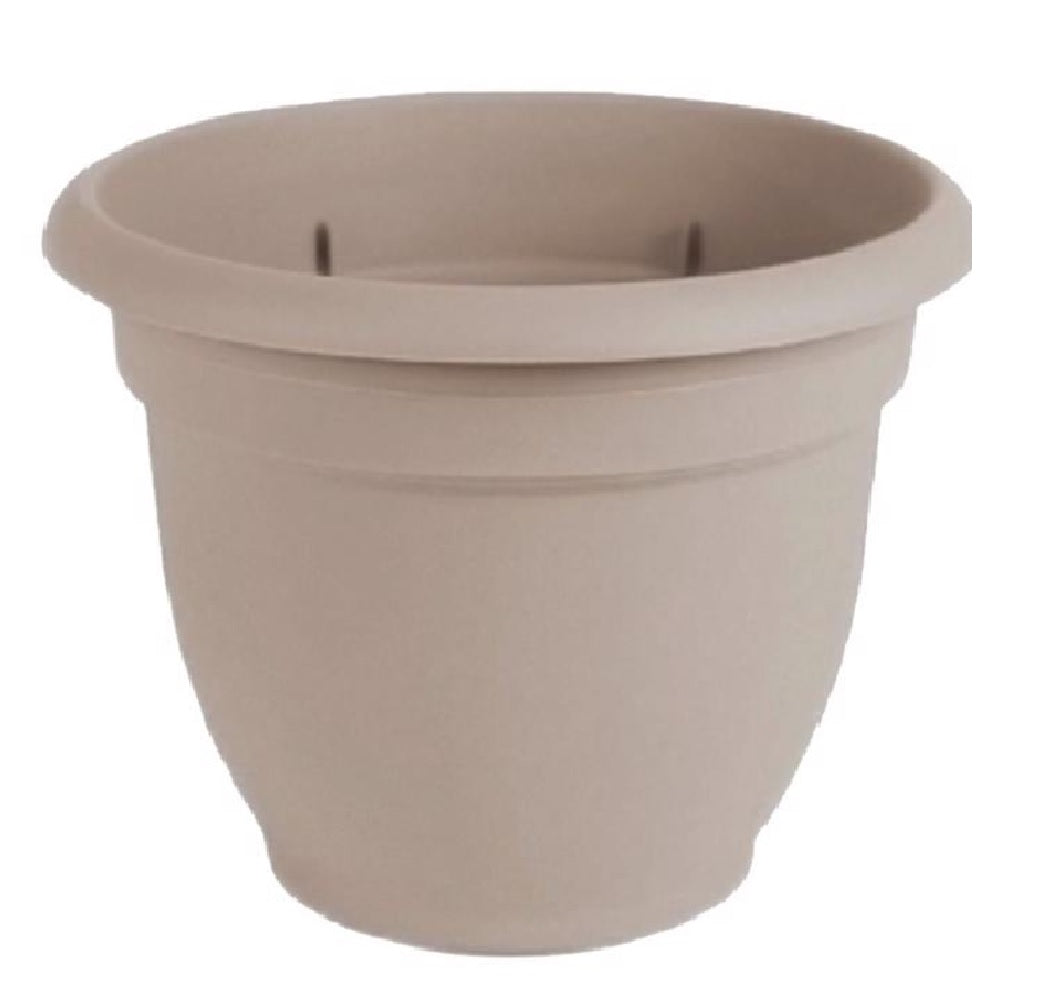 Bloem AP2083 Ariana Planter, Plastic — LIfe and Home