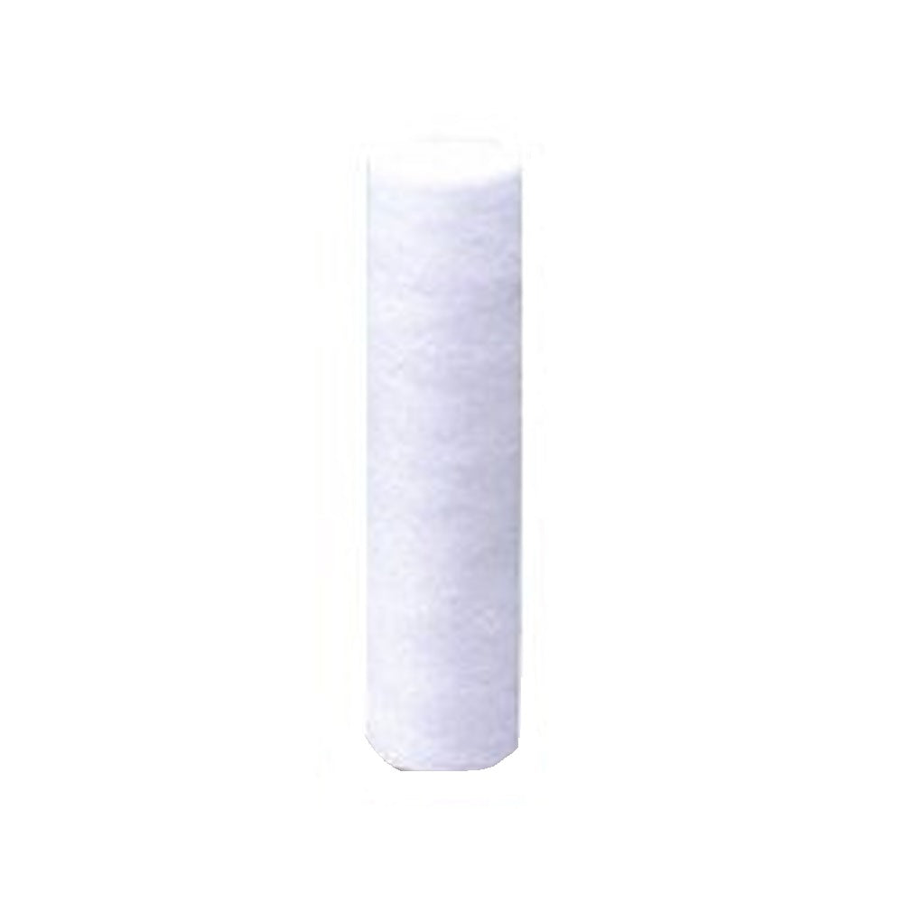 Pentair RS14-SS24-S18 Whole House Filter Cartridge, 10.75 Inch