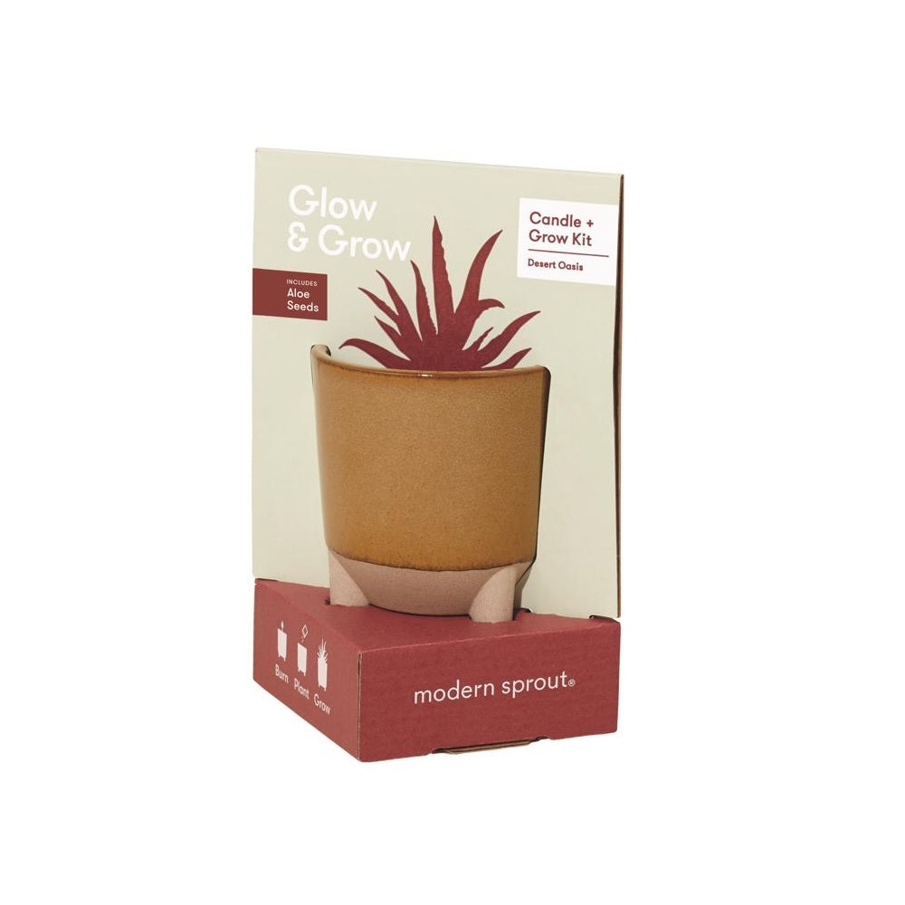 Modern Sprout MS-GBC-1010 Succulent Grow Kit, 1 pack