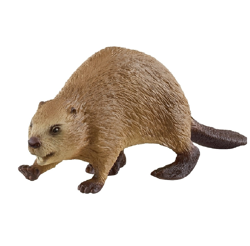 Schleich-S 14855 Wild Life Animal Toy, Beaver, 3 to 8 Years