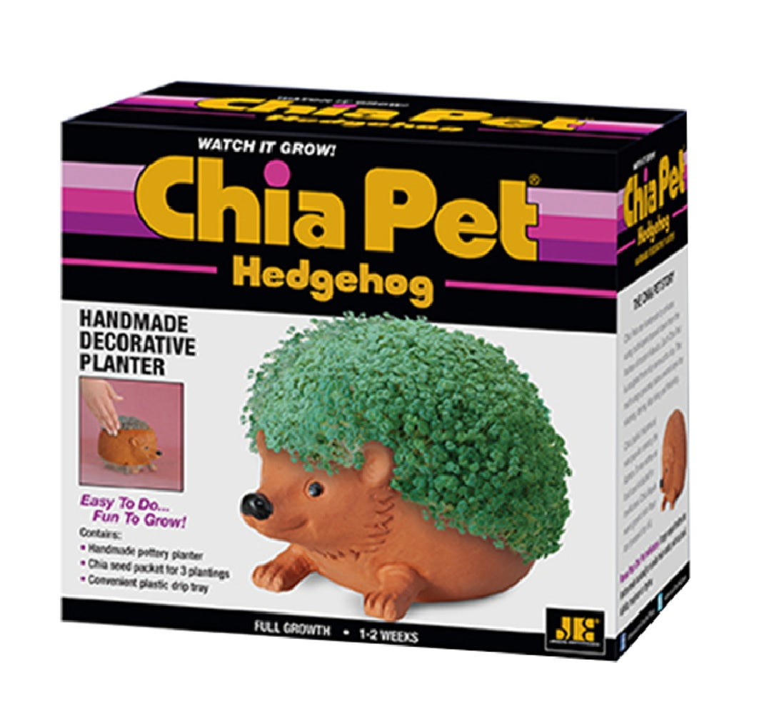 Chia Pet CP438A16 Hedgehog Decorative Planter