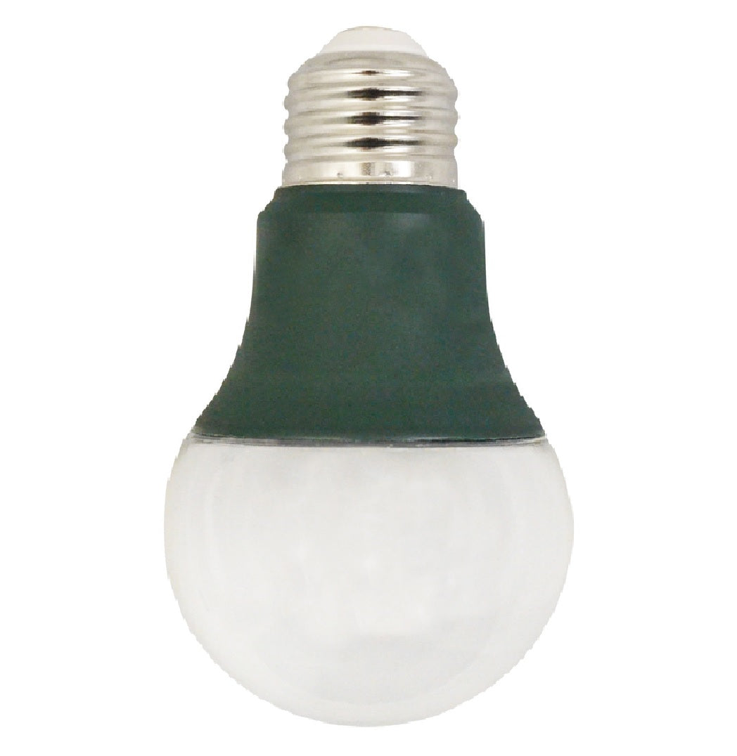 Stonepoint GR-A19 E26 LED Bulb, 8 watts