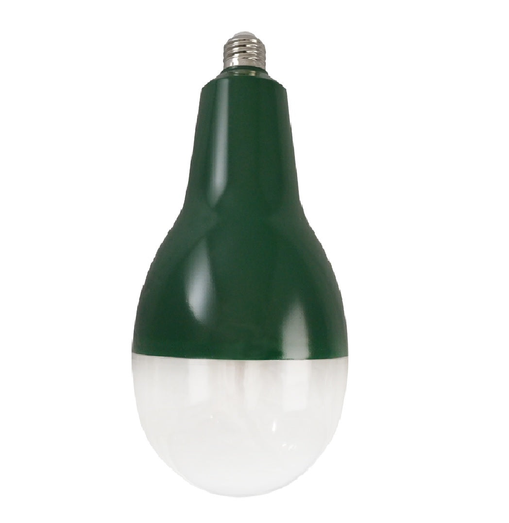 Stonepoint GR-CHB50-KL E26 LED Bulb, 50 watts