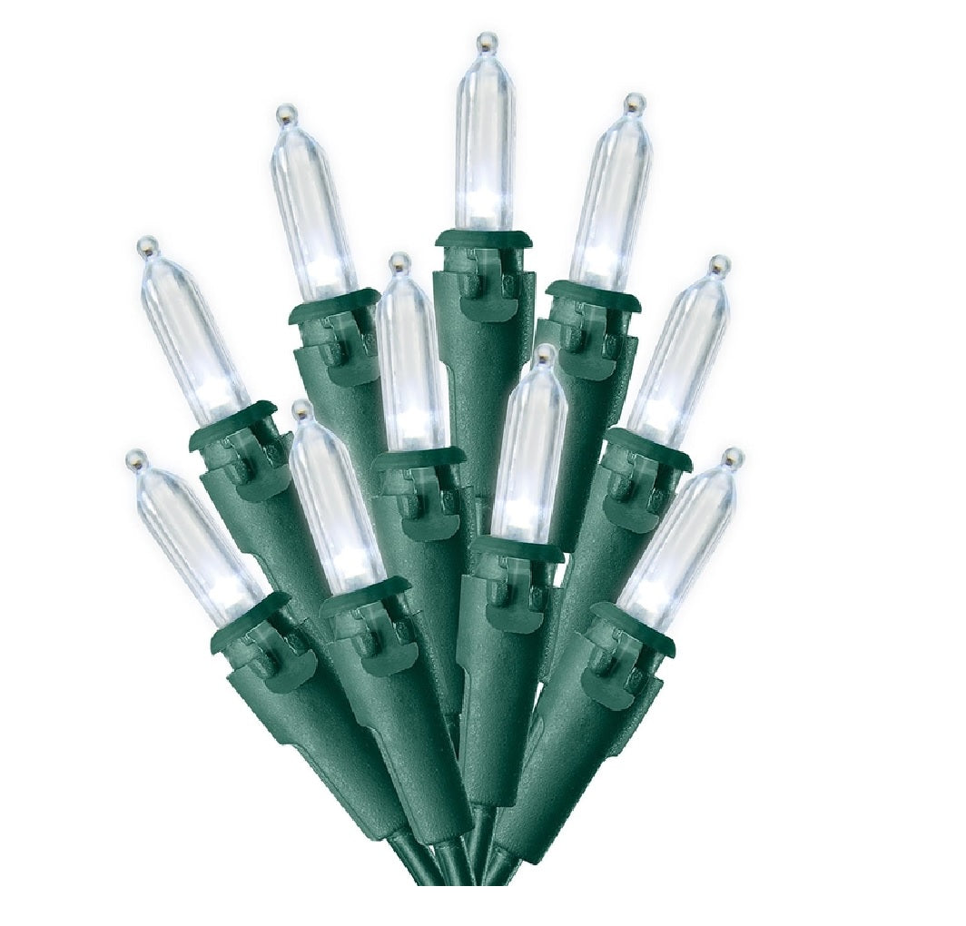 Celebrations 44538-71 StayLit Christmas LED Mini Light Set