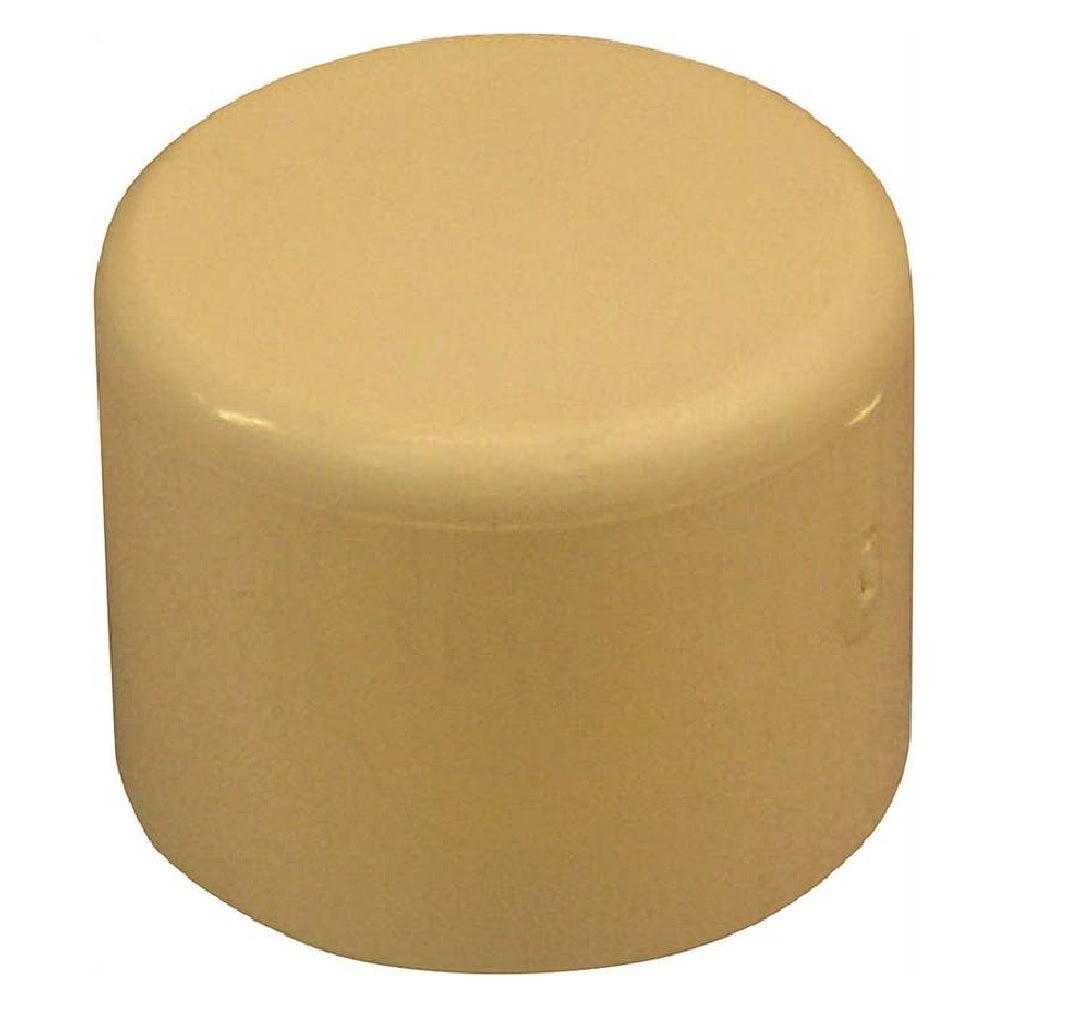 Nibco T00210D Pipe Cap, 1/2 Inch