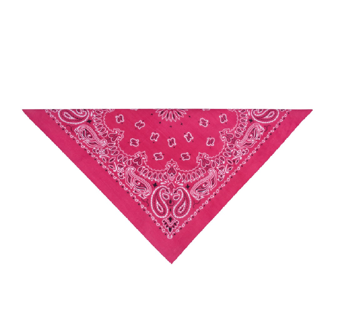 Top Performance ZX022 75 Paisley Bandana, Pink