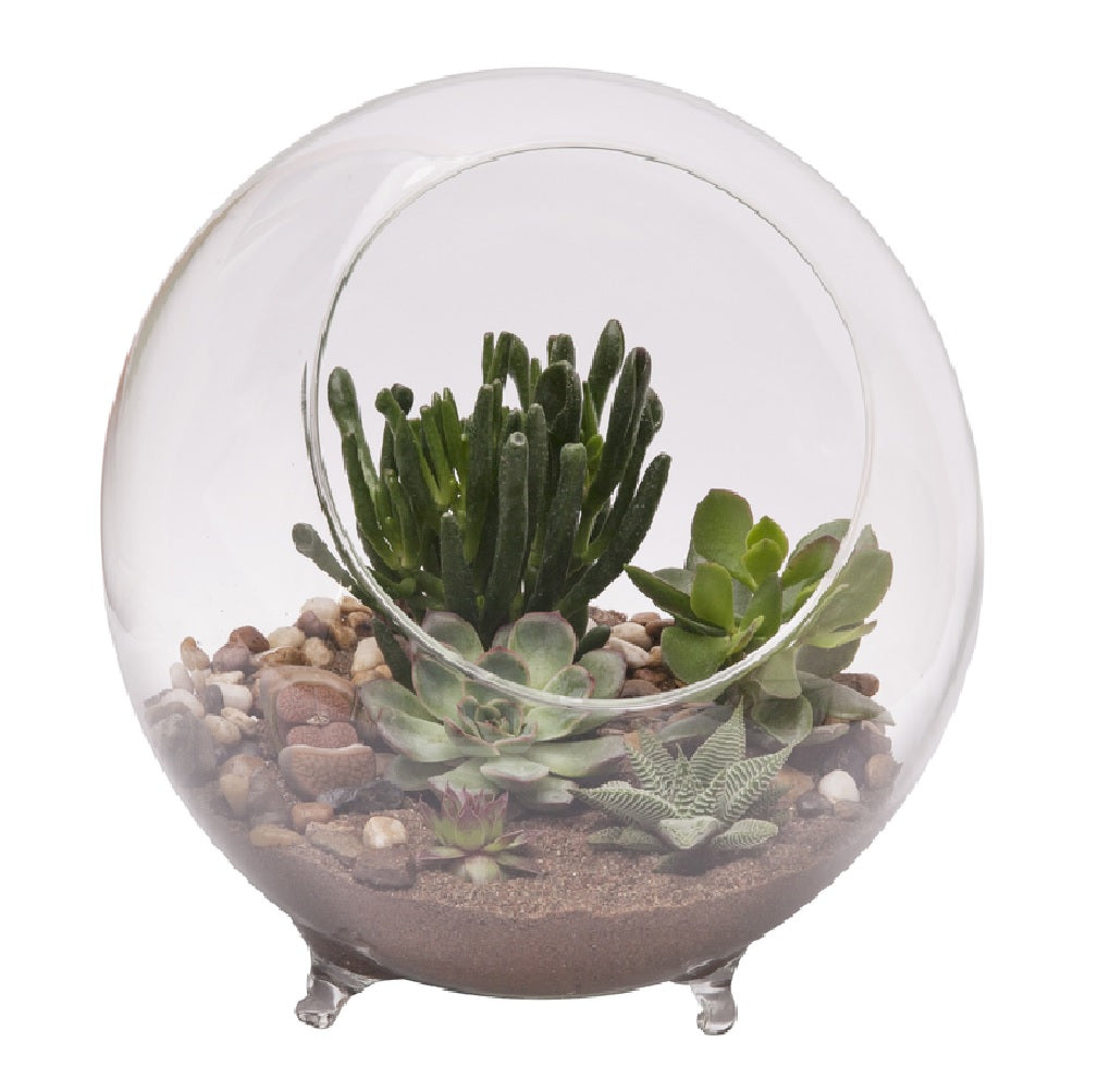 Panacea 82145 Sphere Terrarium With Feet, Clear