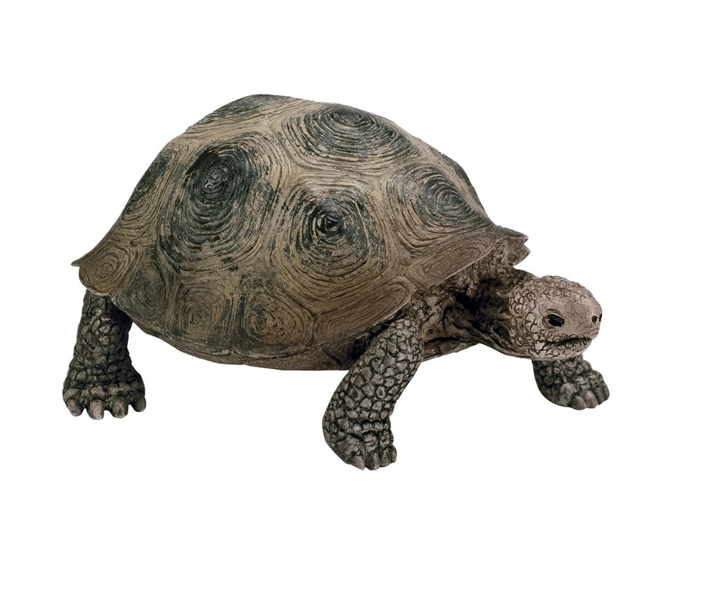 Schleich 14824 Figurine Giant Tortoise, Plastic