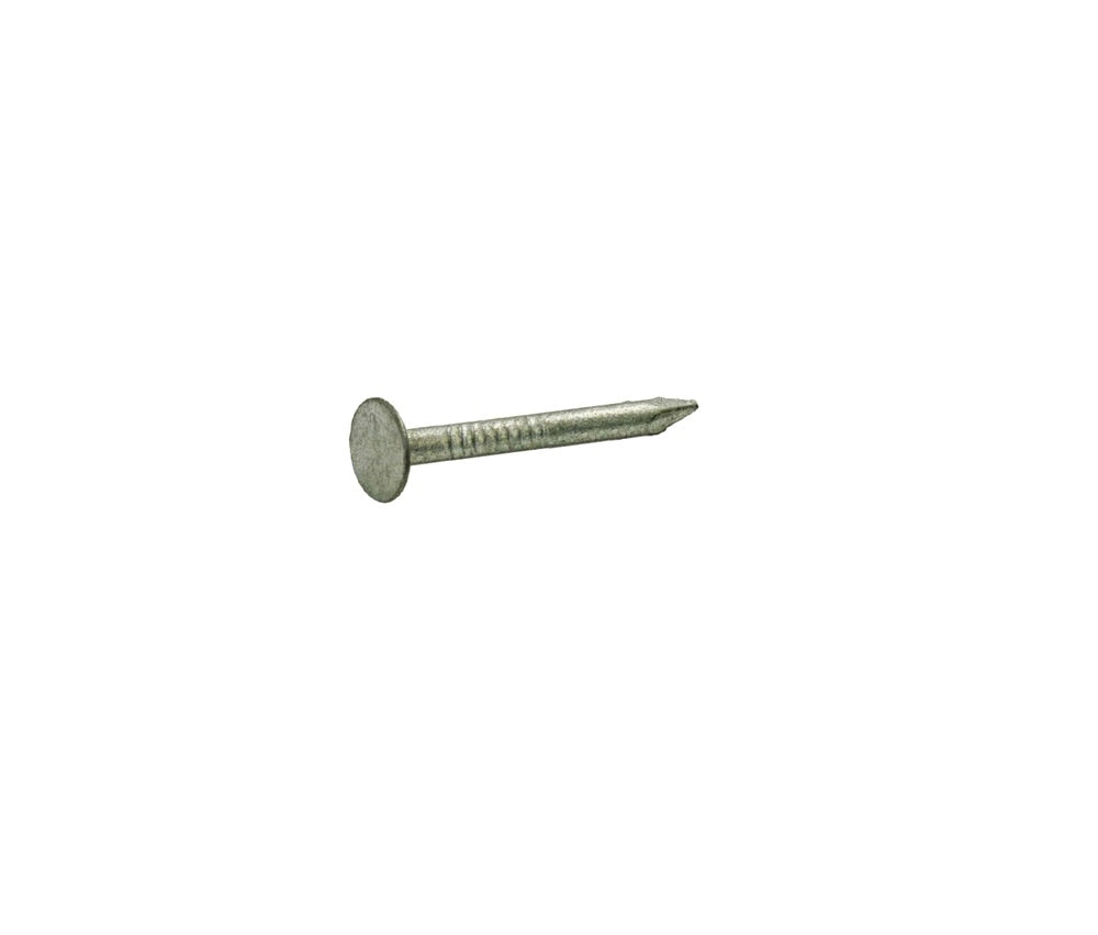 Grip-Rite 2HGRFG1 Roofing Hot-Dipped Galvanized Steel Nail, 2"